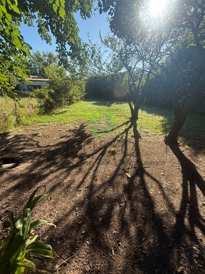 CASA EN VENTA | CALLE FILIBERTO | MECHITA